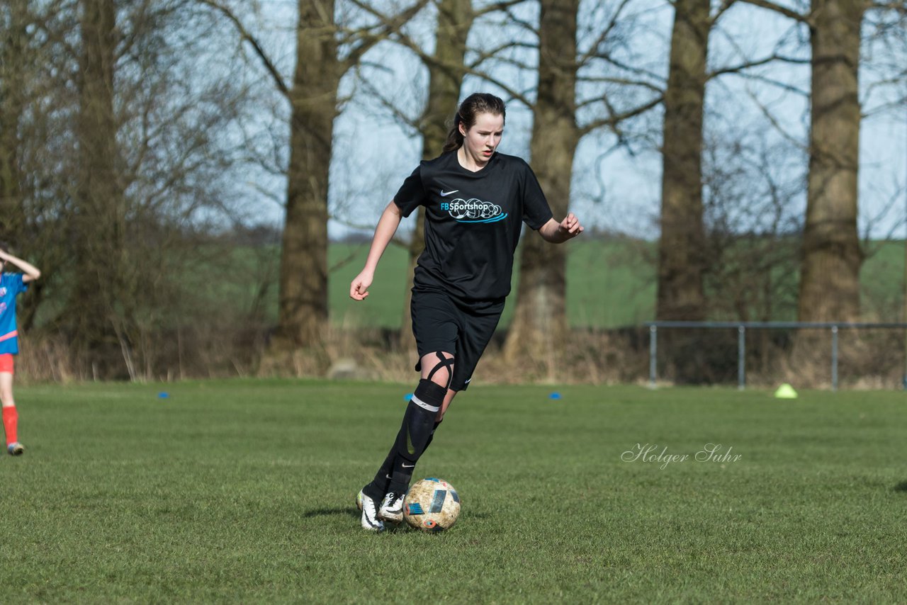 Bild 290 - C-Juniorinnen SV Steinhorst/Labenz - TSV Friedrichsberg-Busdorf : Ergebnis: 5:0